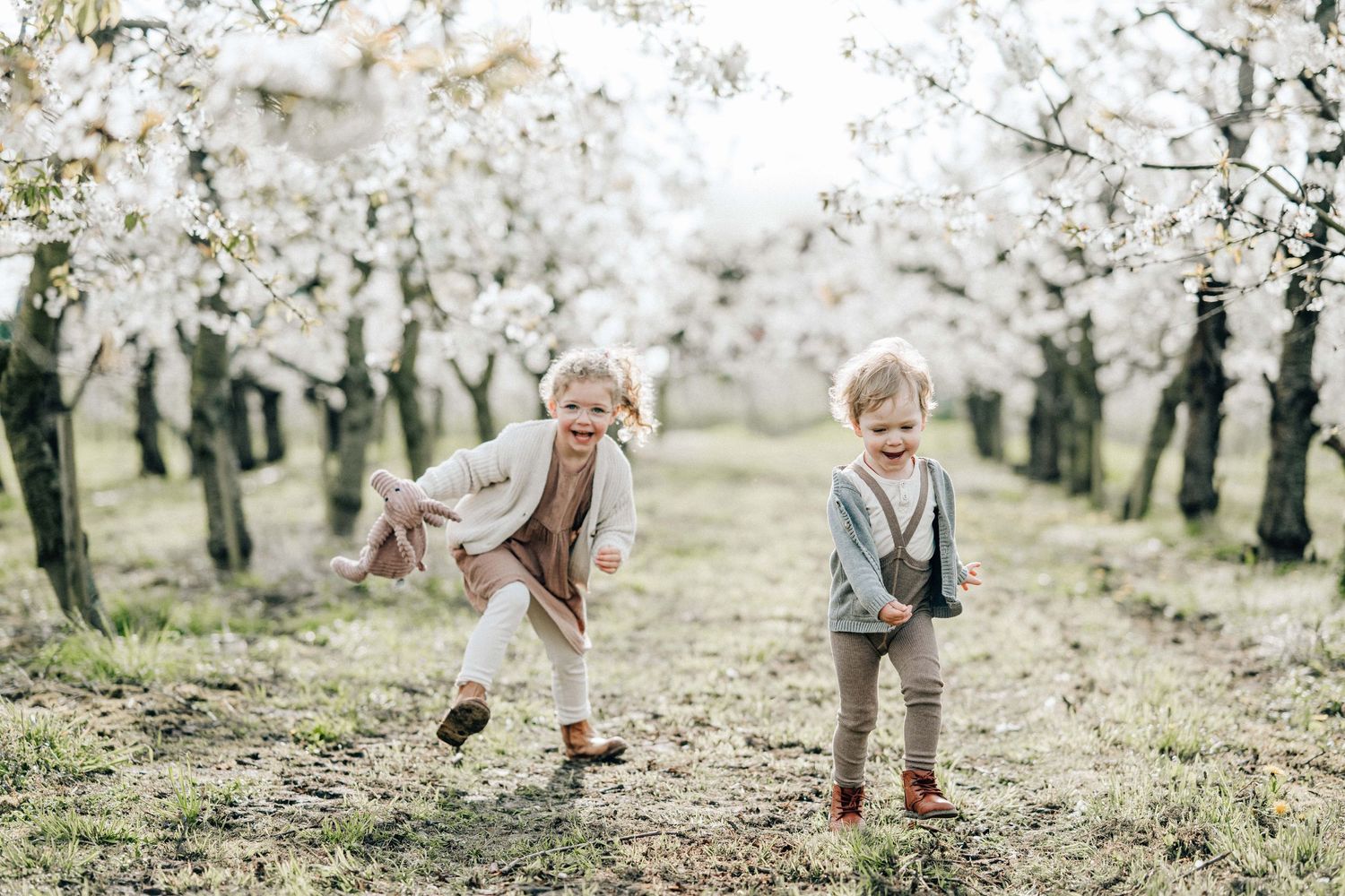 Lachende Geschwister laufen durch den blühenden Obsthof beim Familienfotoshooting mit Julia Aßmann