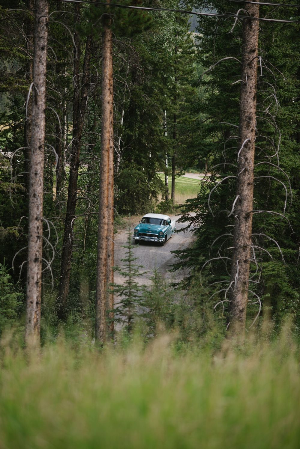 Silvertip Resort Canmore Wedding I Maia Sokolic Photography