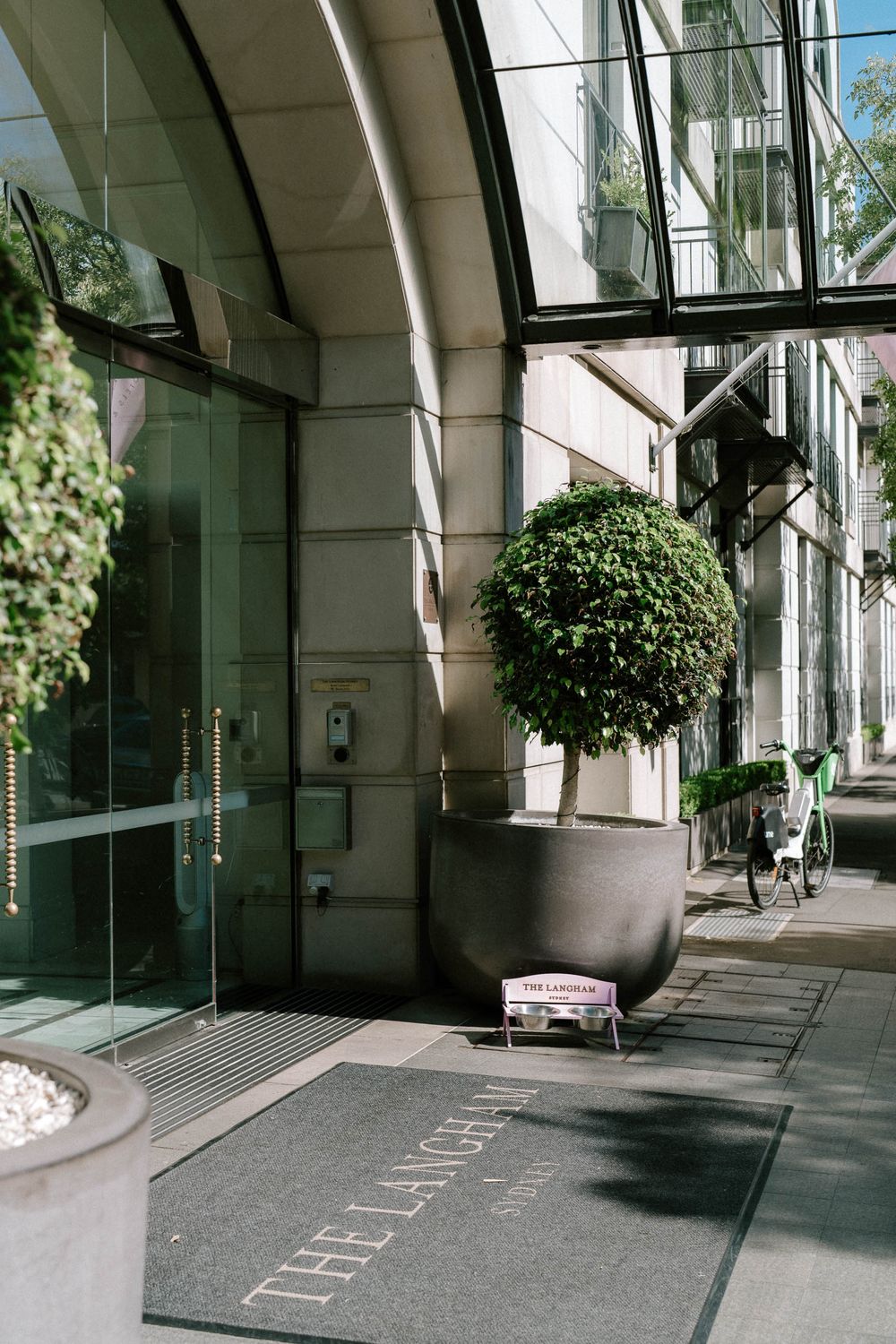 Elegant entrance of The Langham hotel featuring a manicured topiary tree in a large planter beside glass doors.
