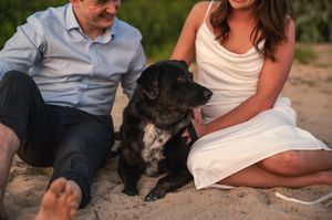 Couple sitting on sandy beach with black dog between them, woman in white dress, man in blue shirt.