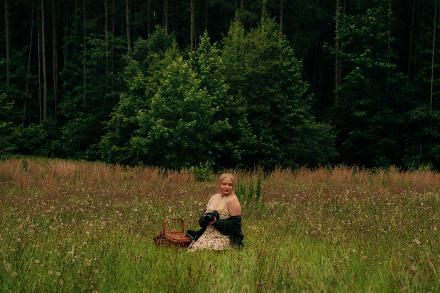 A person sits with a picnic basket in a verdant meadow surrounded by dark evergreen forest on the edge of a clearing.
