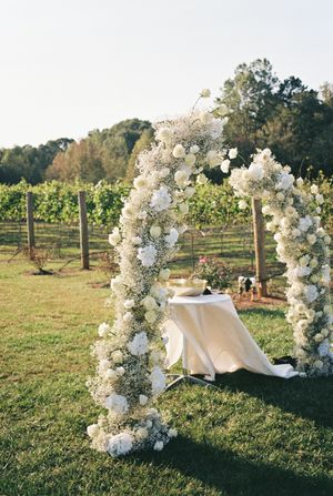 A white floral wedding arch stands in a vineyard setting during golden hour.