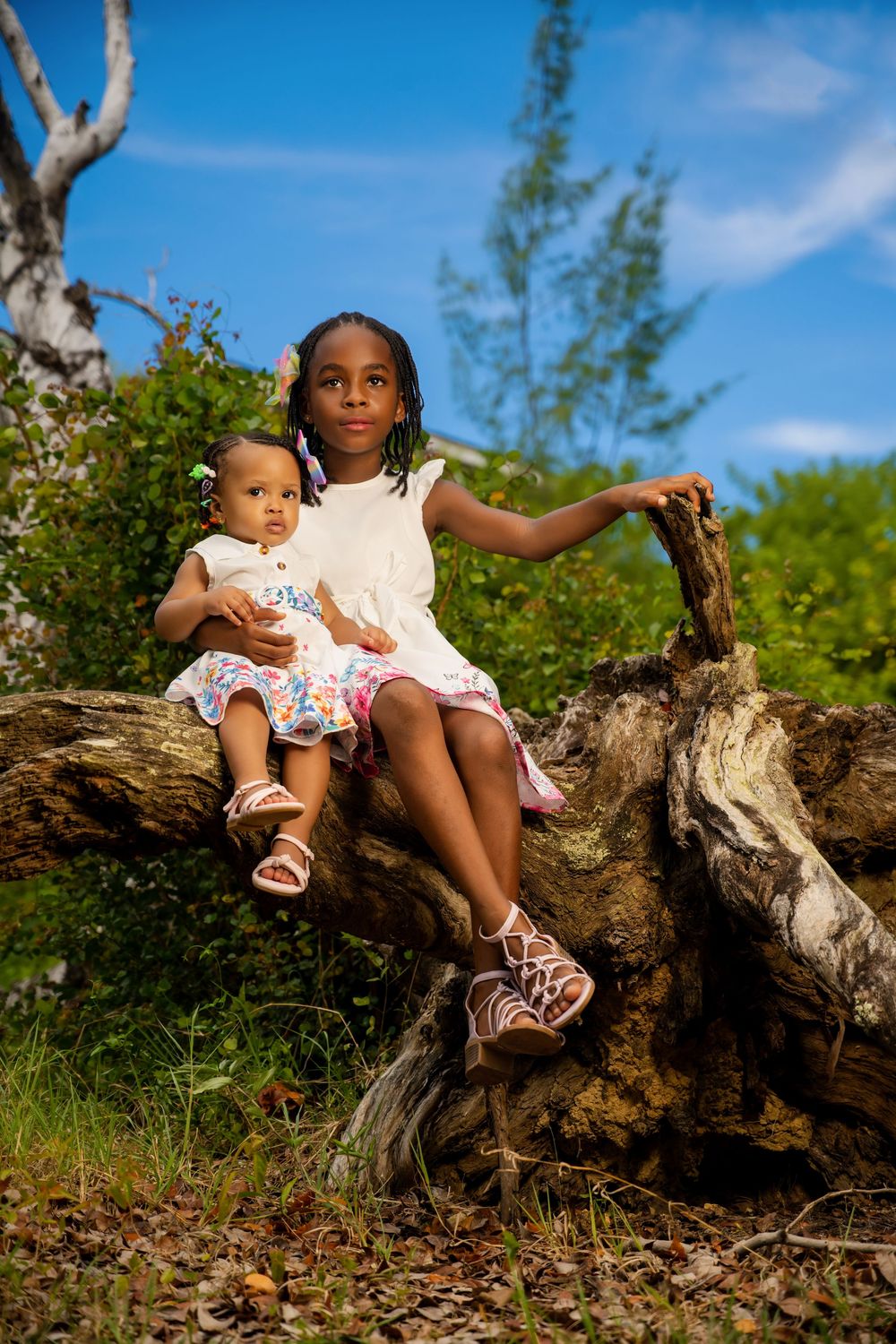 A scenic outdoor portrait on a fallen tree trunk against a bright blue sky.