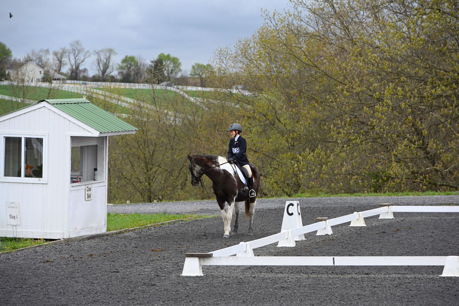 a black paint horse looks into the judges box