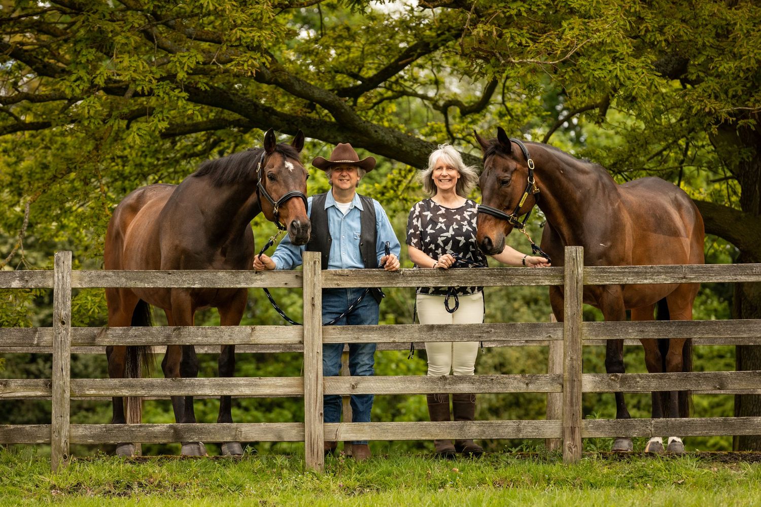 Two brown horses flank a wooden fence in a lush green paddock.