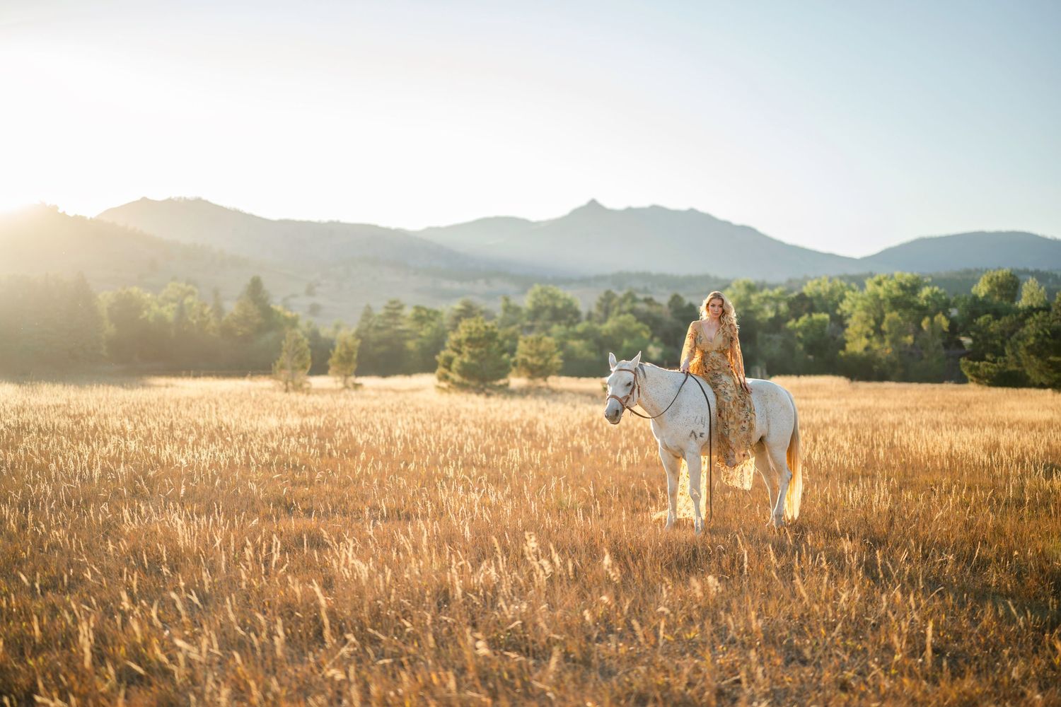 Horse and rider photography