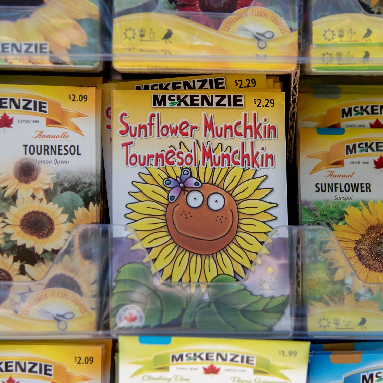 Packets of McKenzie brand sunflower seeds featuring a cartoon sunflower mascot on display at a retail store Bradford Greenhouse in Barrie