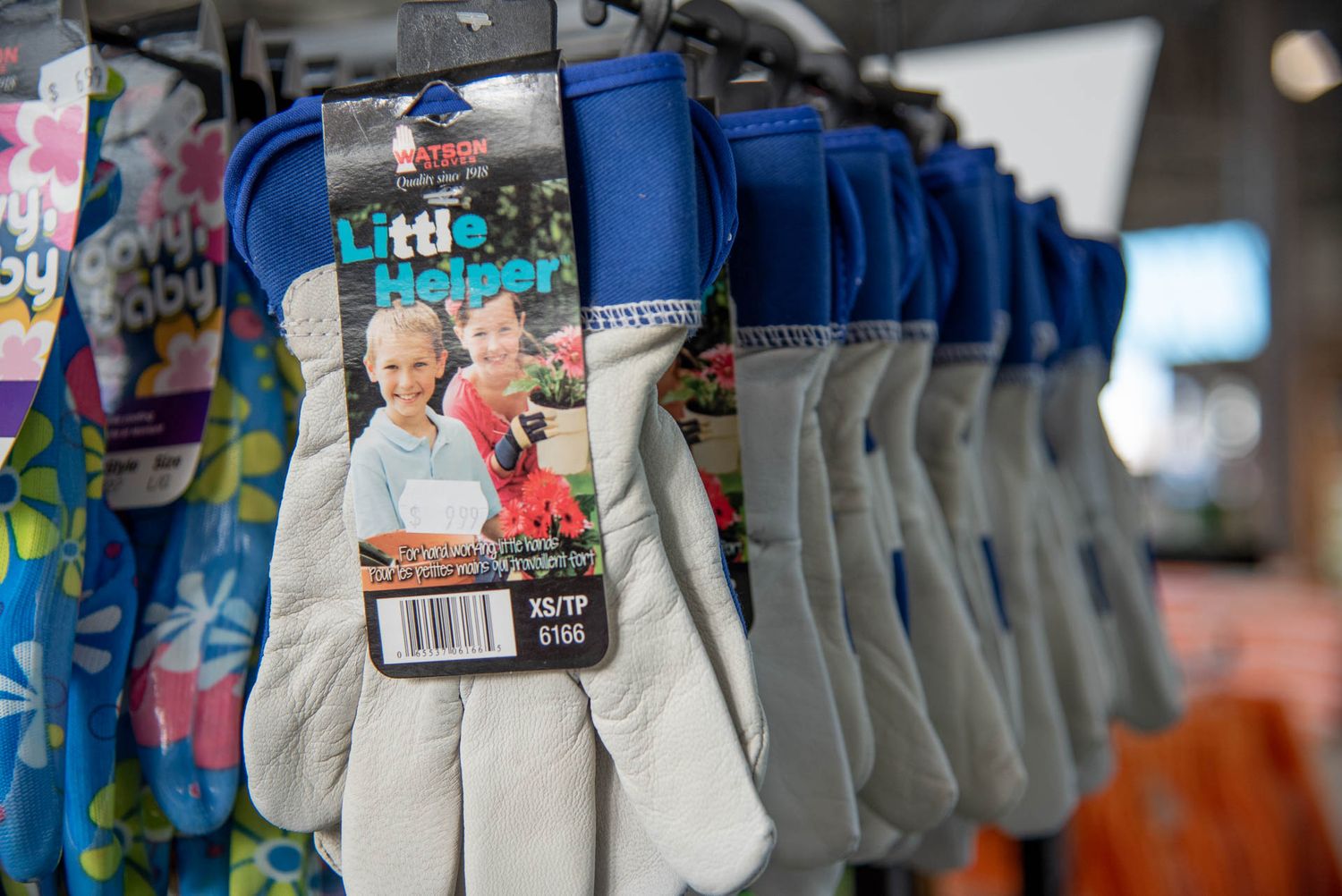 Row of gray gardening gloves hanging on retail display hooks with blue packaging at Bradford Greenhouse in Barrie