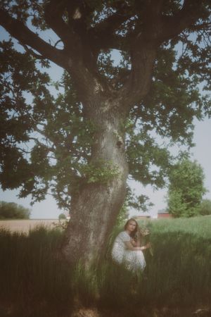 Dreamy outdoor scene with large tree branches framing a sunlit natural setting.