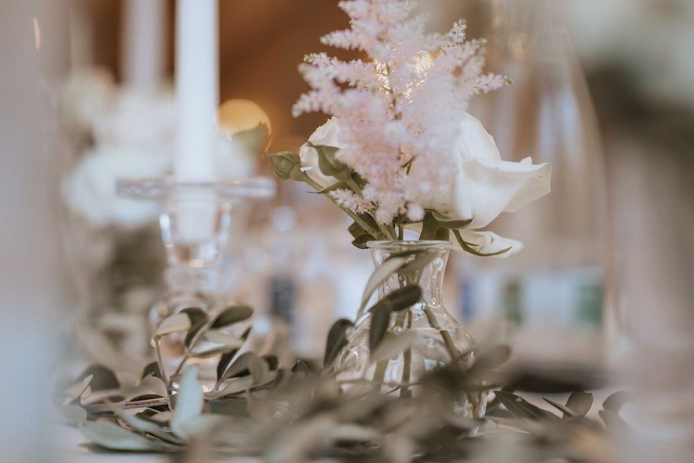 Delicate white cherry blossoms on branches bloom in soft focus against a light background.