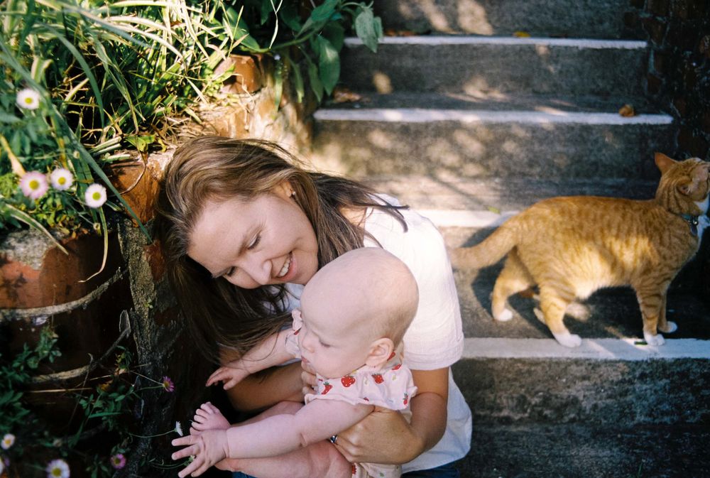A series of seven connected images showing tender moments between someone petting and bonding with an orange cat outdoors.