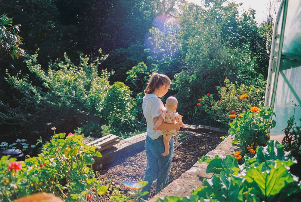A garden pathway leads through vibrant flower beds with marigolds and greenery in late summer light.