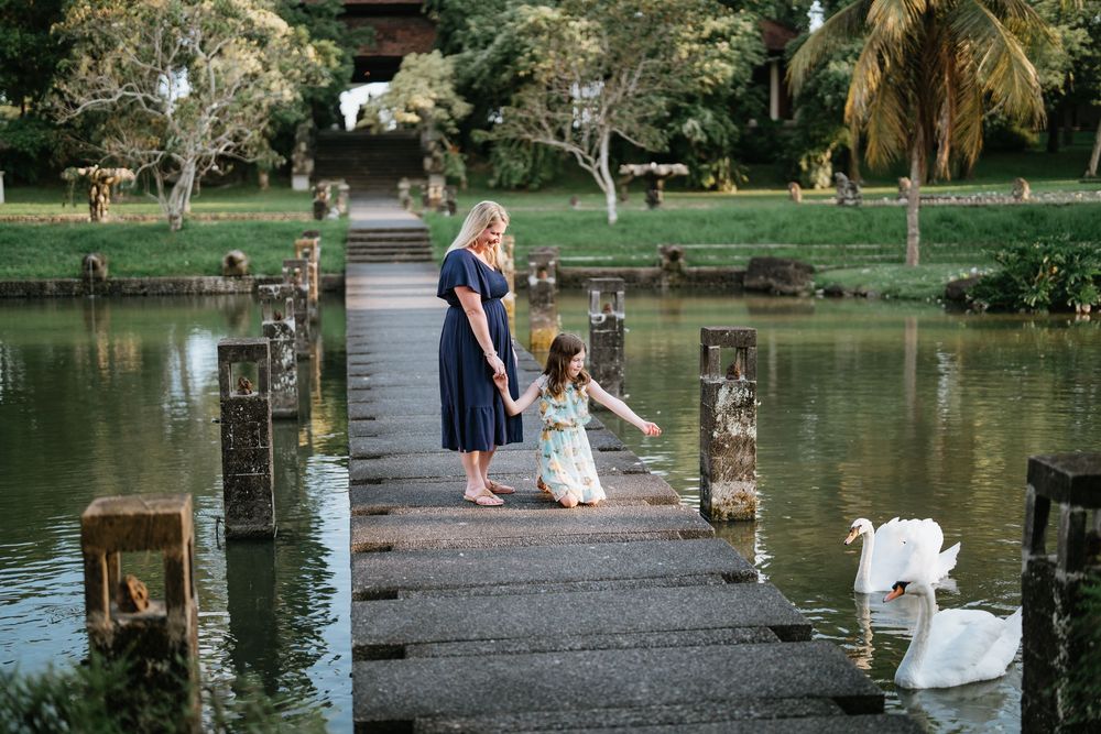 People watching white swans on a peaceful lake surrounded by palm trees.