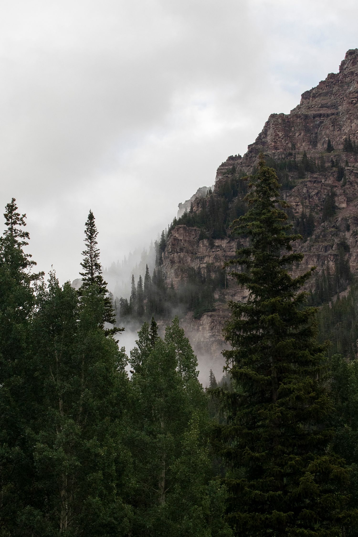 Colorado wedding landscape by Jackalope Mountain Photography