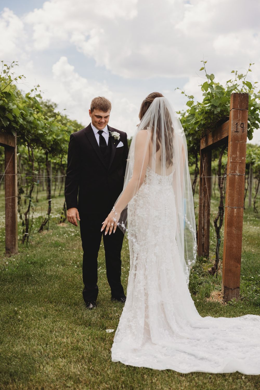 A bride and groom hold hands in a lush vineyard, the bride in a lace gown with veil, groom in a black suit.