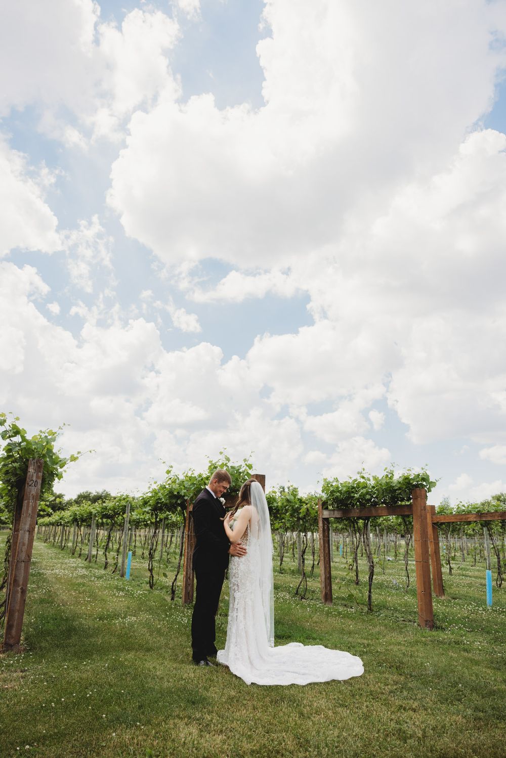 Bride and groom share a romantic moment in a lush vineyard under a dramatic cloudy sky on their wedding day.