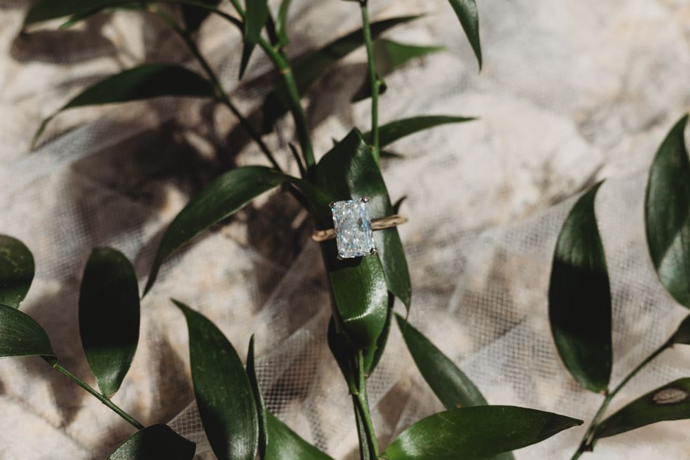 Close-up of a stunning cushion-cut diamond engagement ring resting on green leaves.