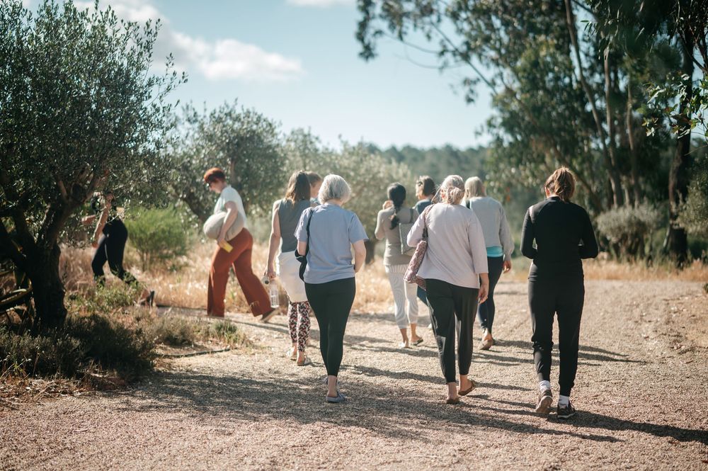 Group of people walking together on a sunny dirt path surrounded by olive and eucalyptus trees.