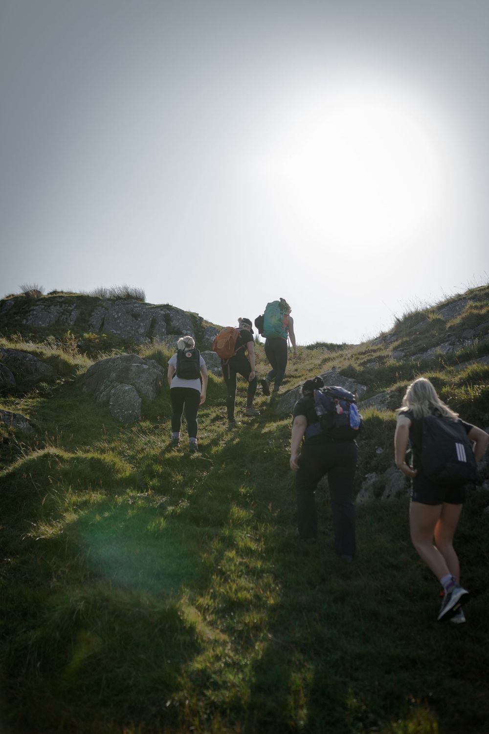 Group of hikers with backpacks ascending a grassy mountain trail in bright sunlight.