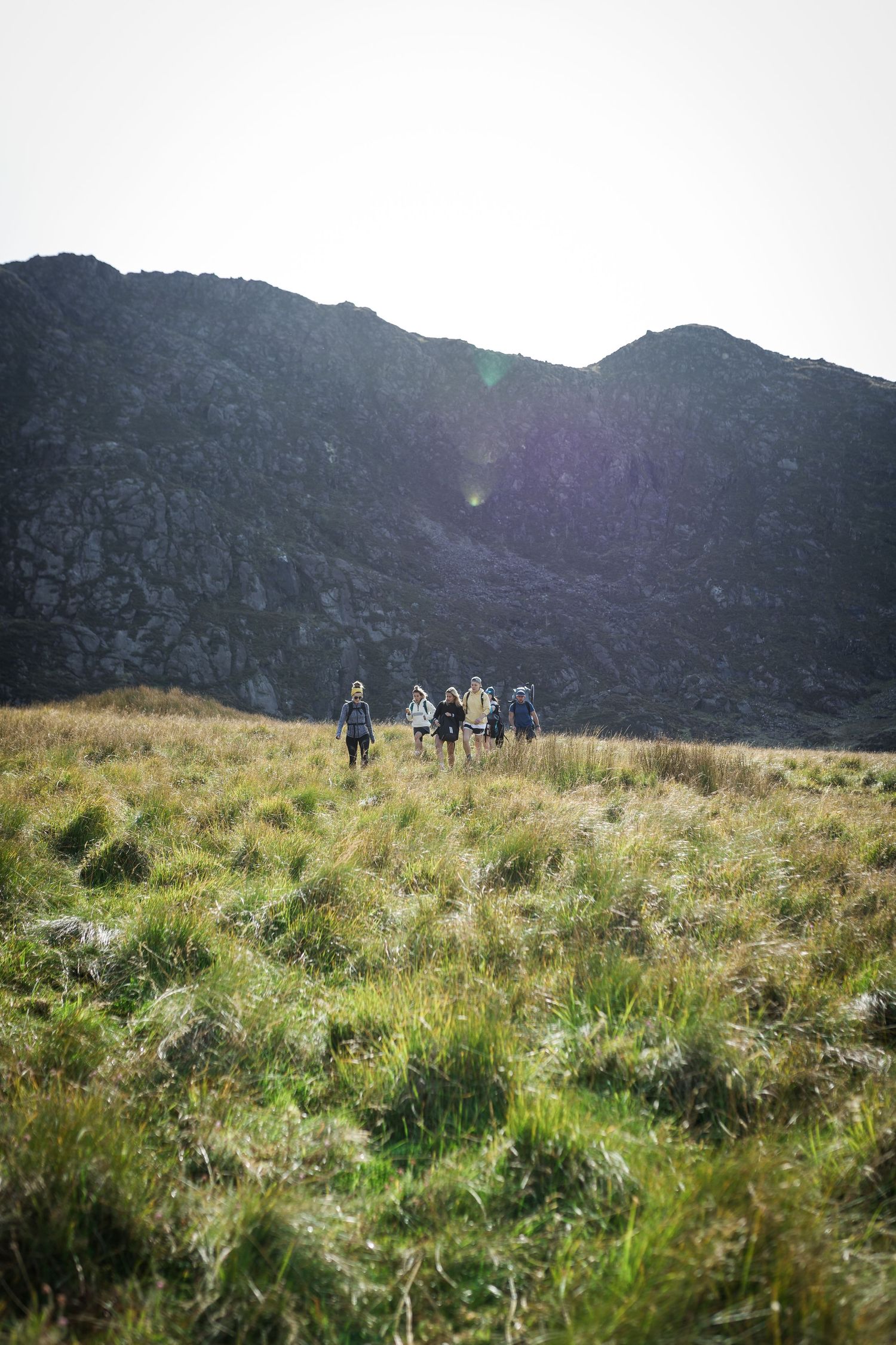 Four hikers with backpacks trek through green alpine meadow toward dramatic rocky mountain peaks in soft natural light.