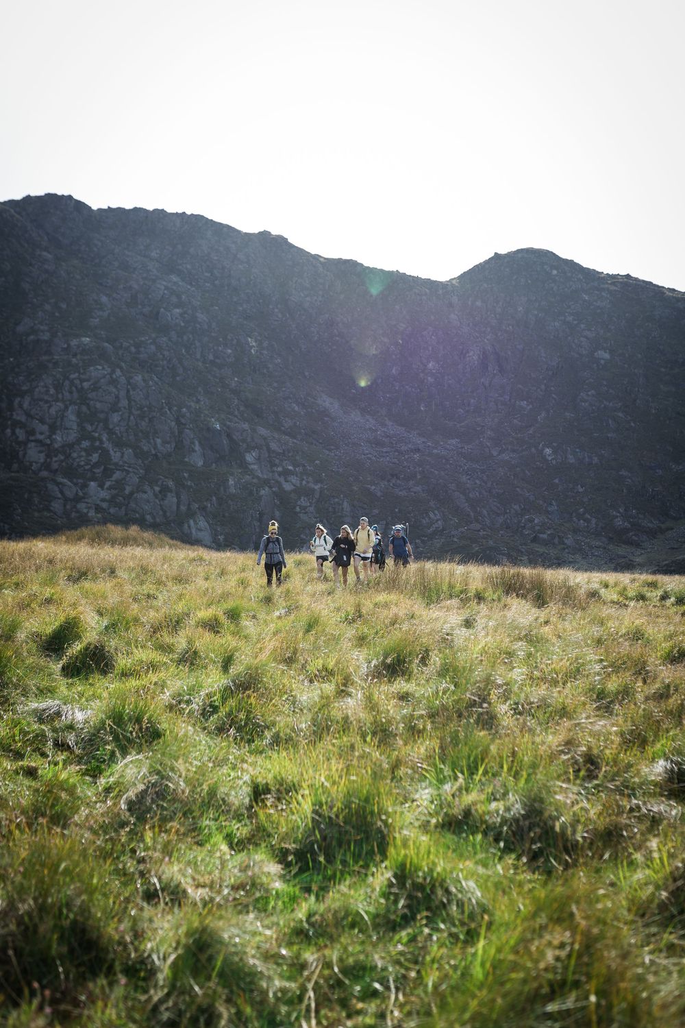 Four hikers with backpacks trek through green alpine meadow toward dramatic rocky mountain peaks in soft natural light.