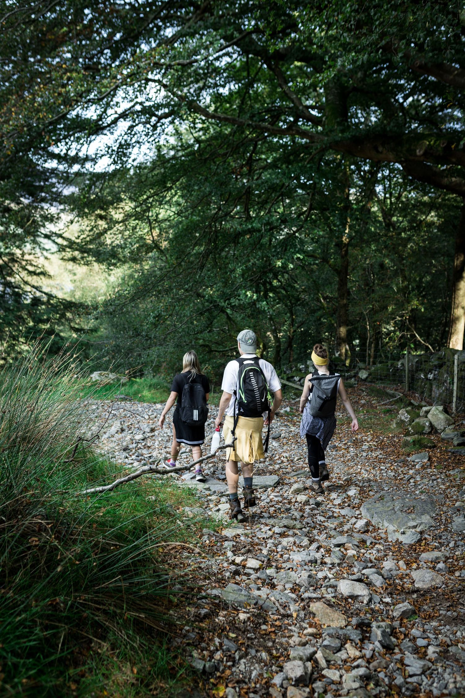 Three hikers with backpacks walking along a rocky forest trail surrounded by lush green trees.