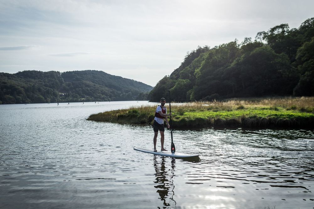 Person stand-up paddleboarding on a calm lake surrounded by lush green hills and reeds on a sunny day.