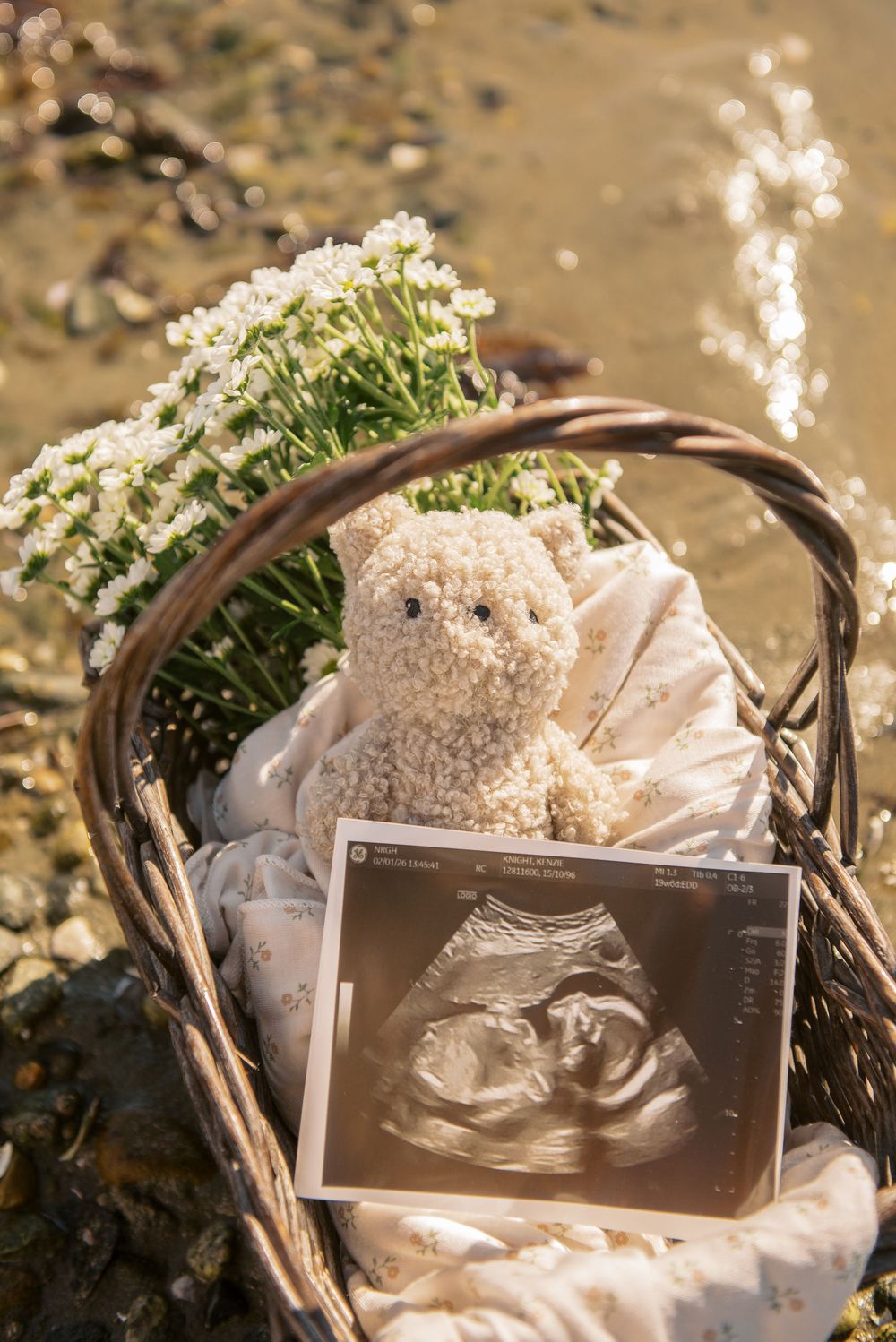 Wicker basket with ultrasound photo, teddy bear, white flowers, and baby cloth on sunny beach rocks.