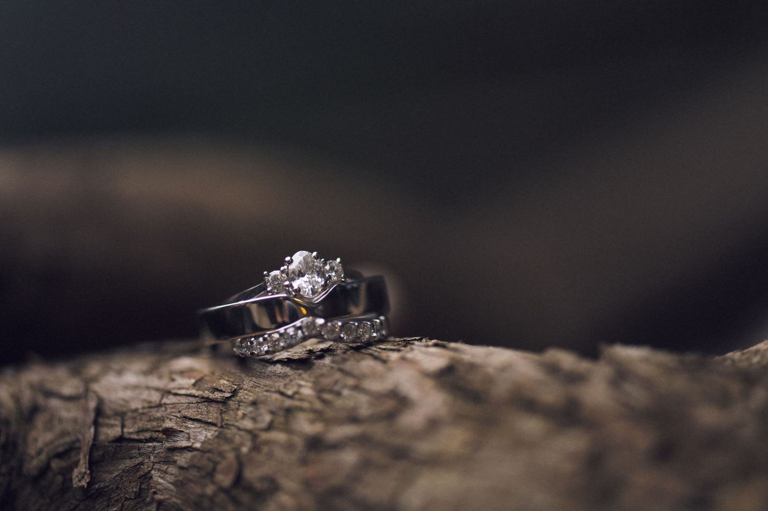 Diamond engagement ring and wedding band resting on rustic tree bark, showcasing elegant silver settings and sparkling gemstones.