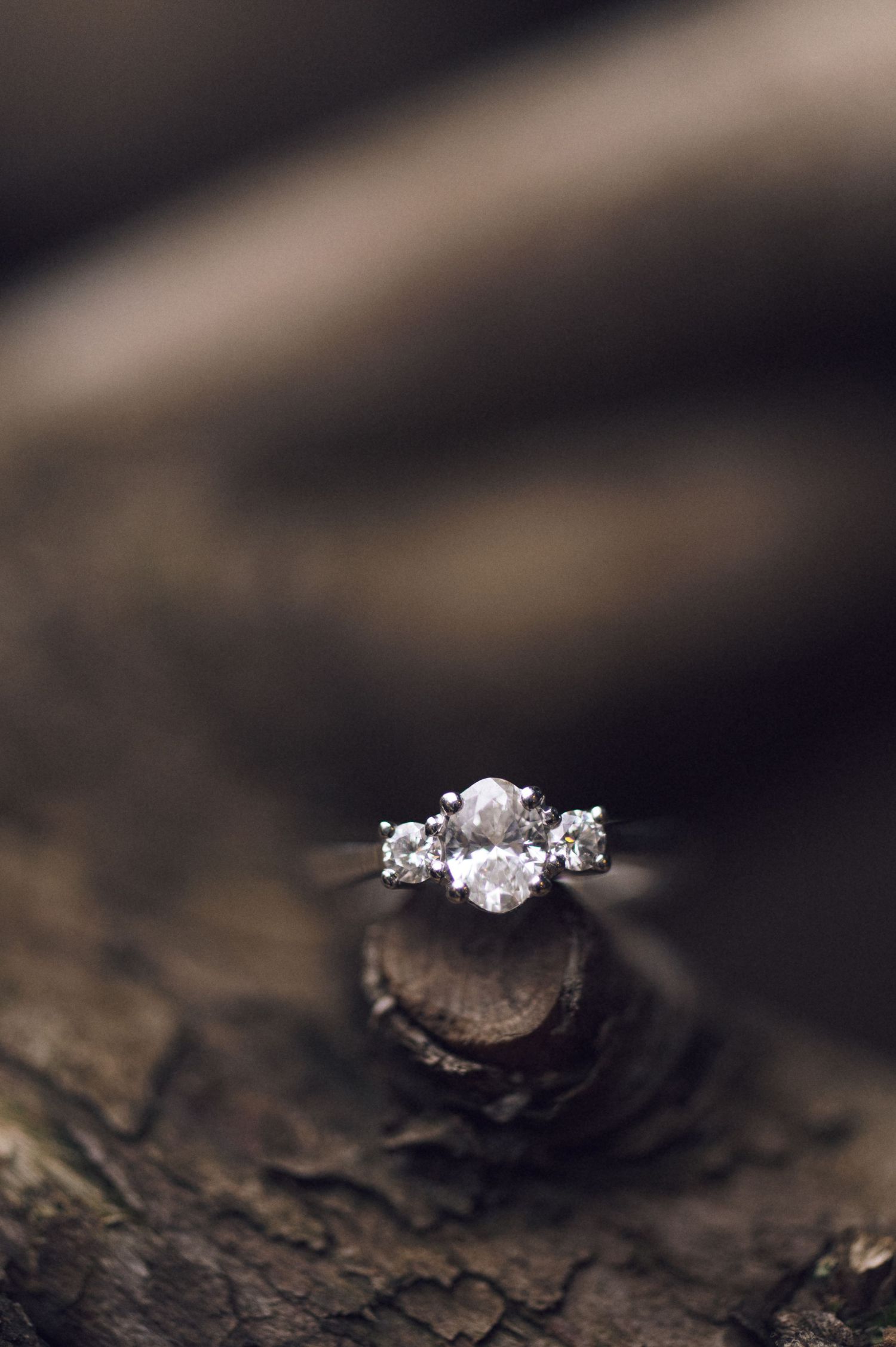 A sparkling three-stone diamond engagement ring resting on rustic wood bark, photographed with elegant bokeh background.
