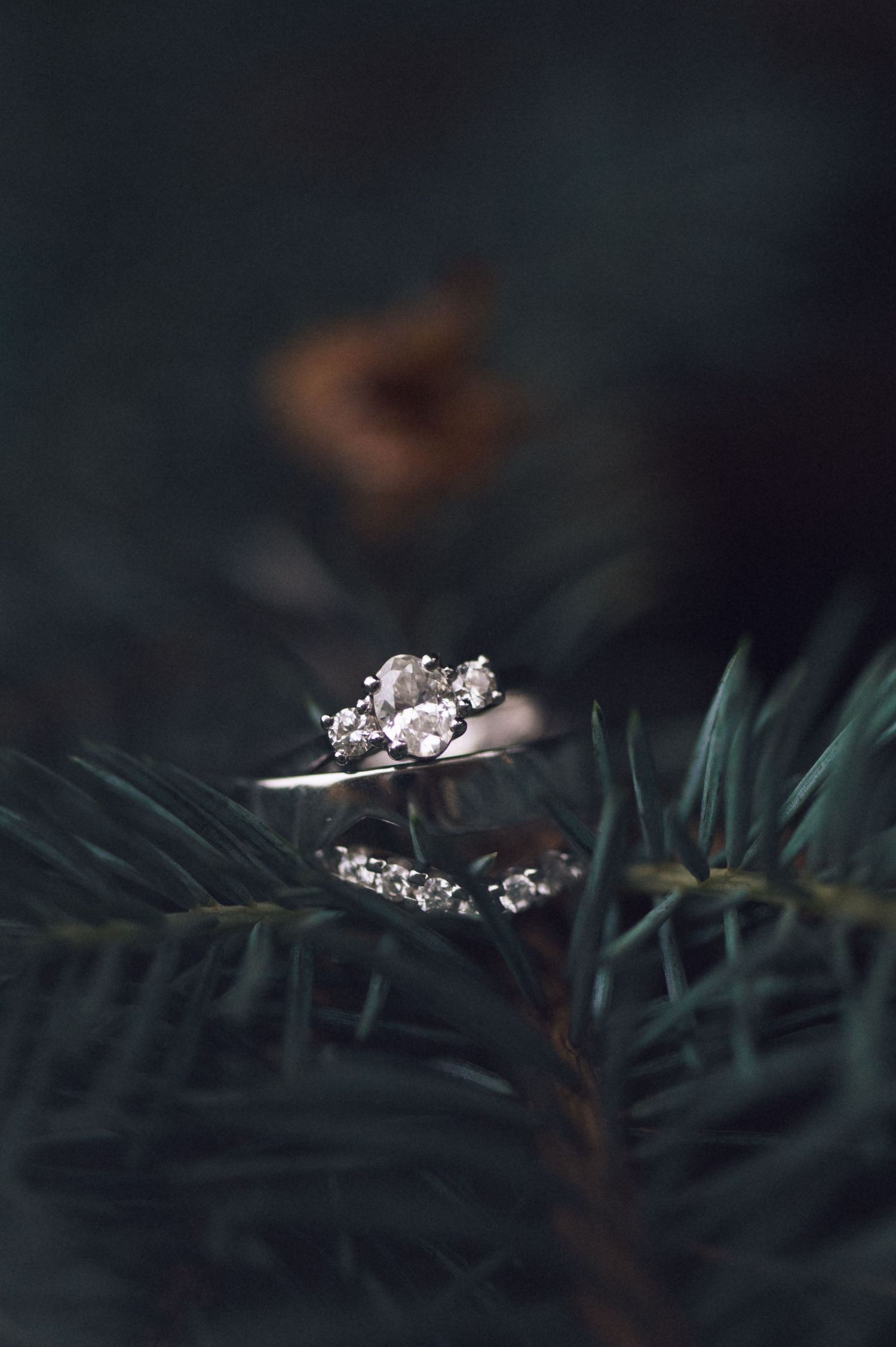Diamond engagement ring resting on pine branches with a moody dark bokeh background.
