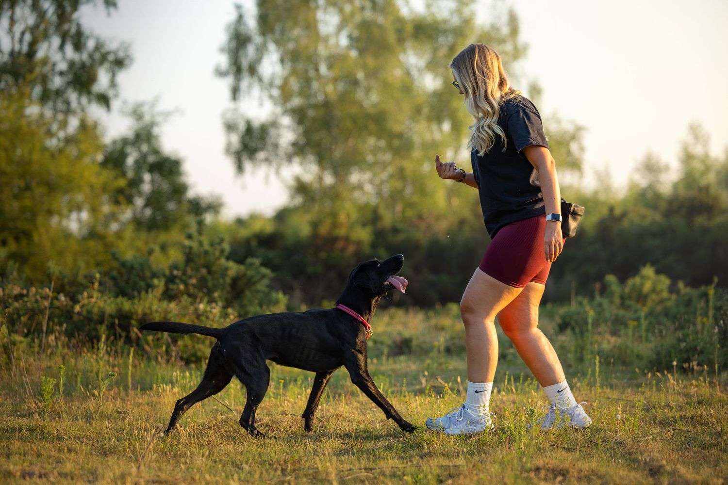 dog photography