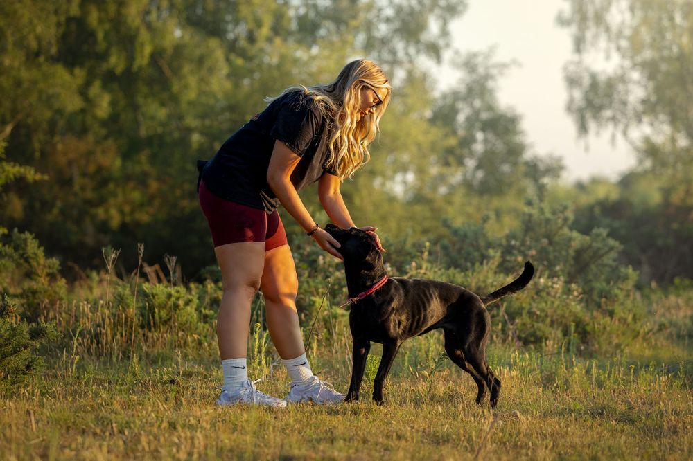 dog photography