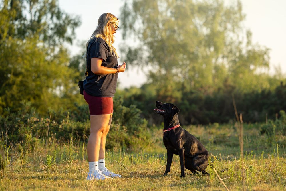 dog photography
