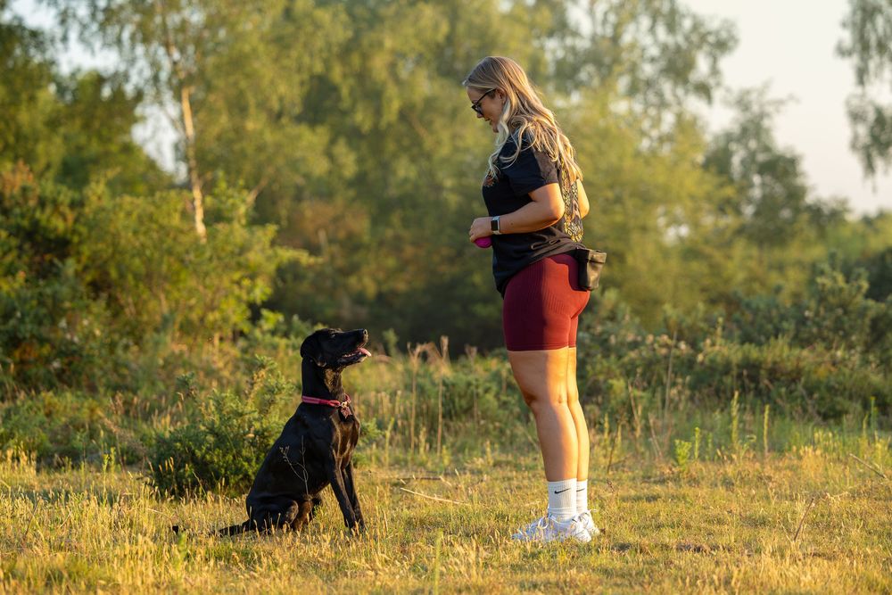 dog photography