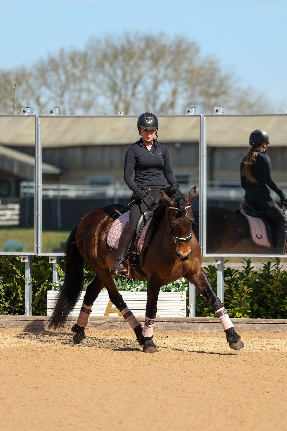 horse photography