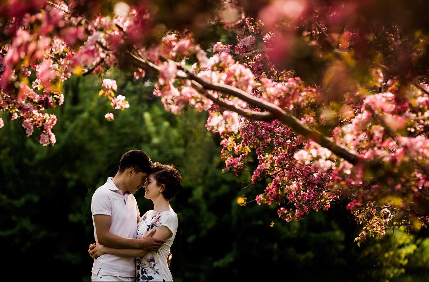 Couple sharing a romantic moment under blooming pink cherry blossom tree in a lush garden setting.