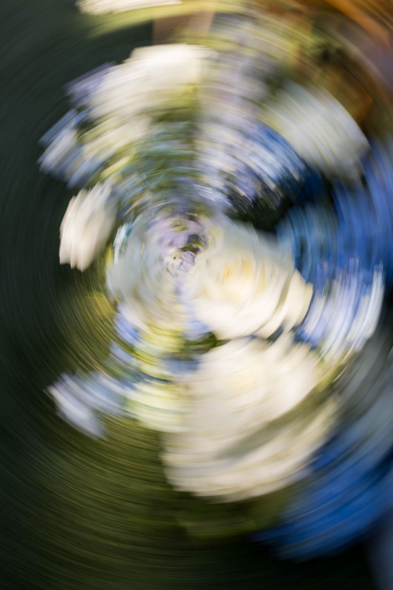 Abstract swirling blur of white flowers and green foliage captured with radial spin motion effect.