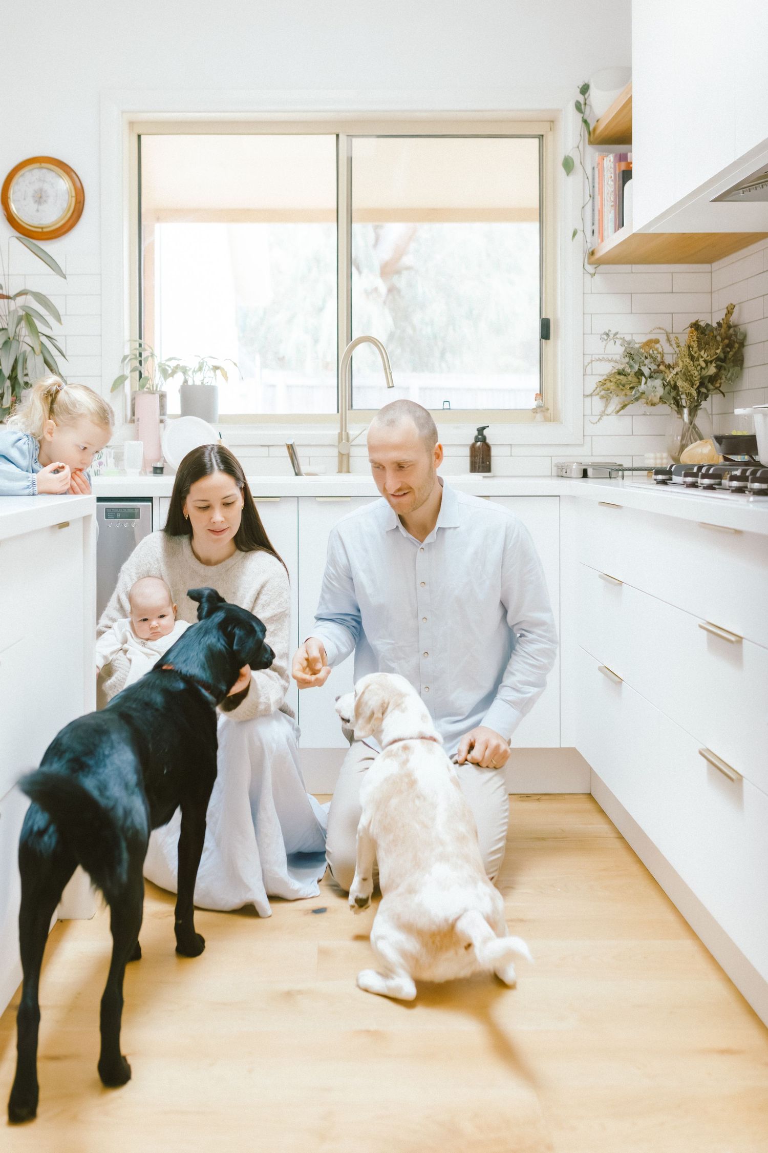 Family with baby and toddler interact with black and white dogs in a bright modern white kitchen.