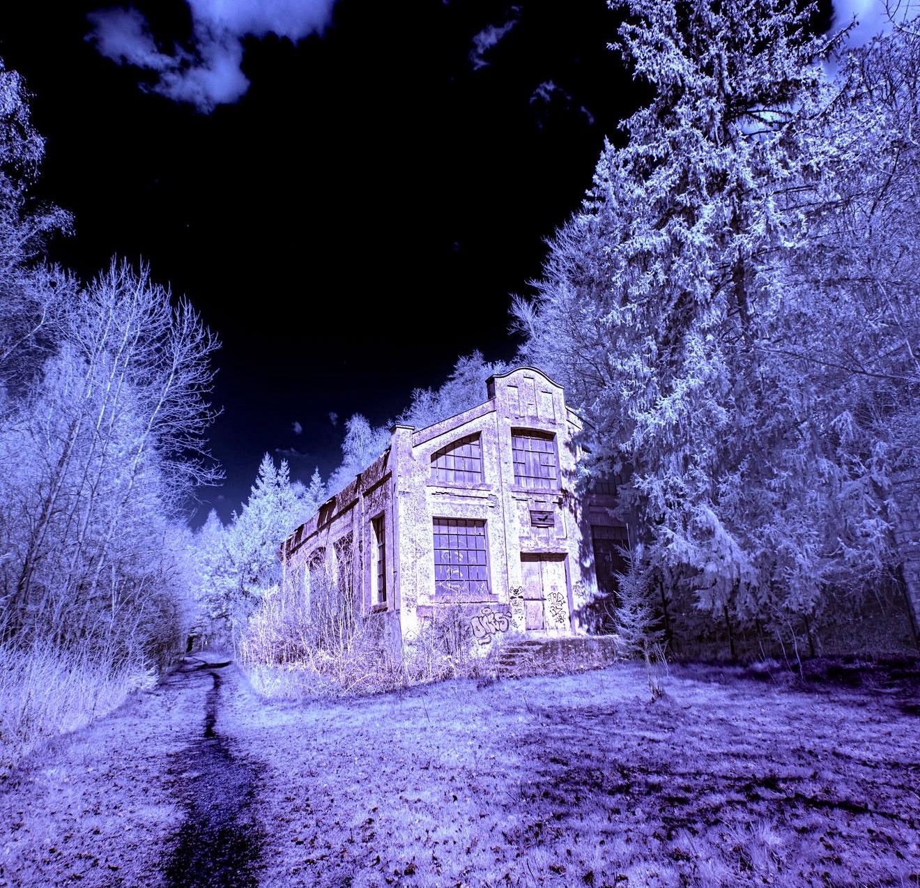 Infrared photography of abandoned building surrounded by glowing white trees at night.