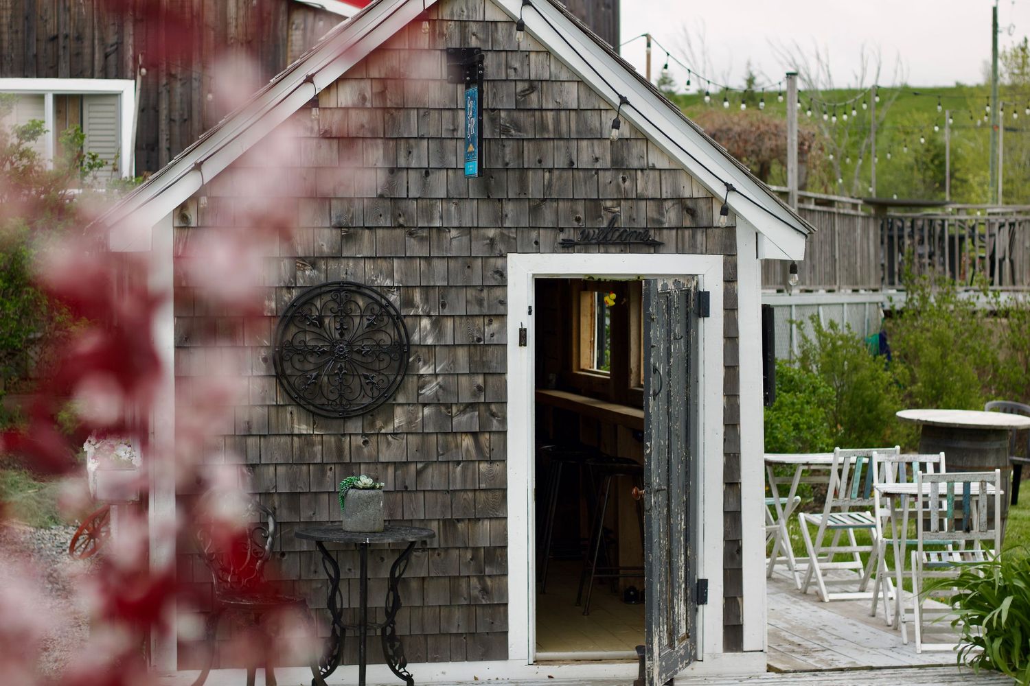Weathered grey building with a small circular patio table and chairs to the left and blurry pink floral bush along the side