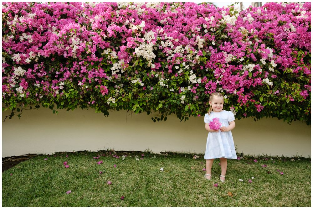 A young girl in a white dress holds pink flowers, standing on grass before a wall covered in vibrant bougainvillea blooms.
