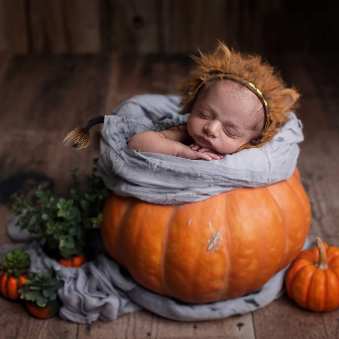 A sleeping baby nestled in a hollowed-out orange pumpkin with gray fabric and smaller pumpkins in the background.