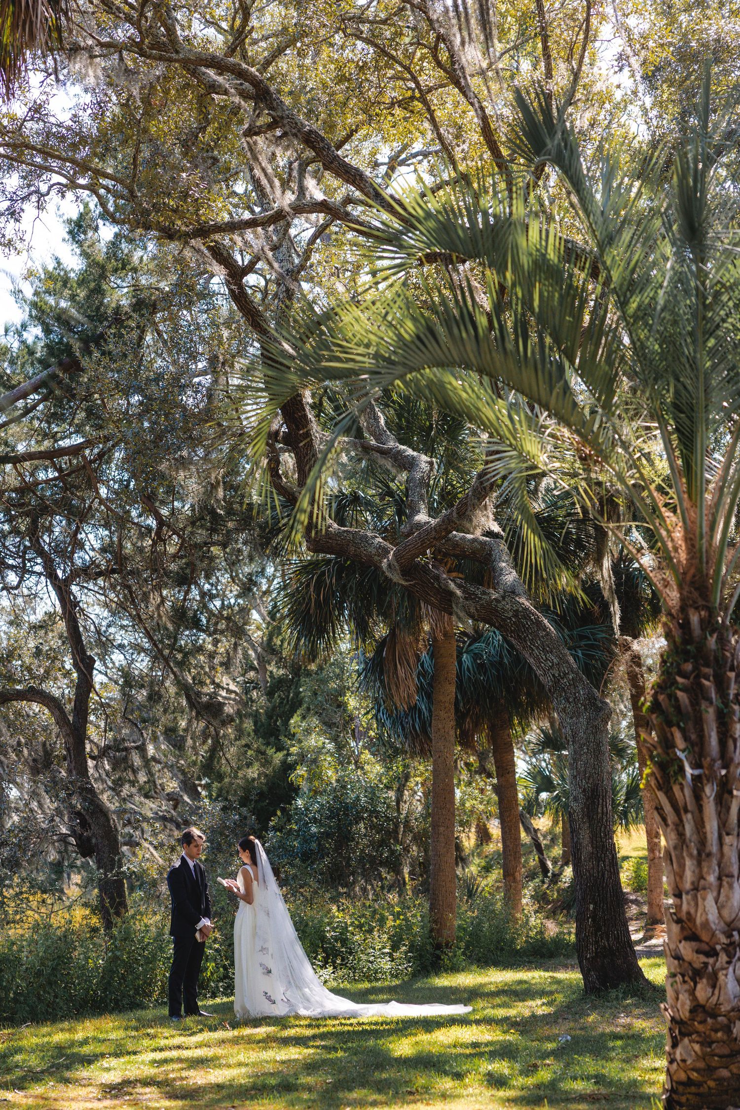 A wedding couple shares a romantic moment among palm trees and greenery in a sunlit garden setting.