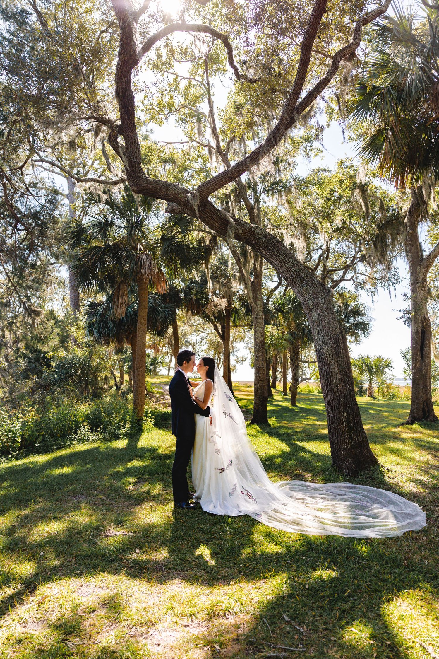 Romantic wedding photo series in a sunlit wooded area with Spanish moss and palm trees.