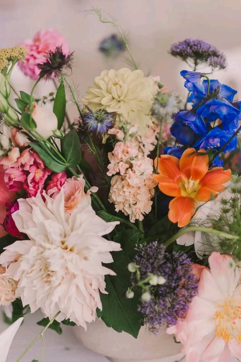 A colorful floral arrangement featuring pink, white, orange, and blue blooms with delicate green foliage in a soft natural light.