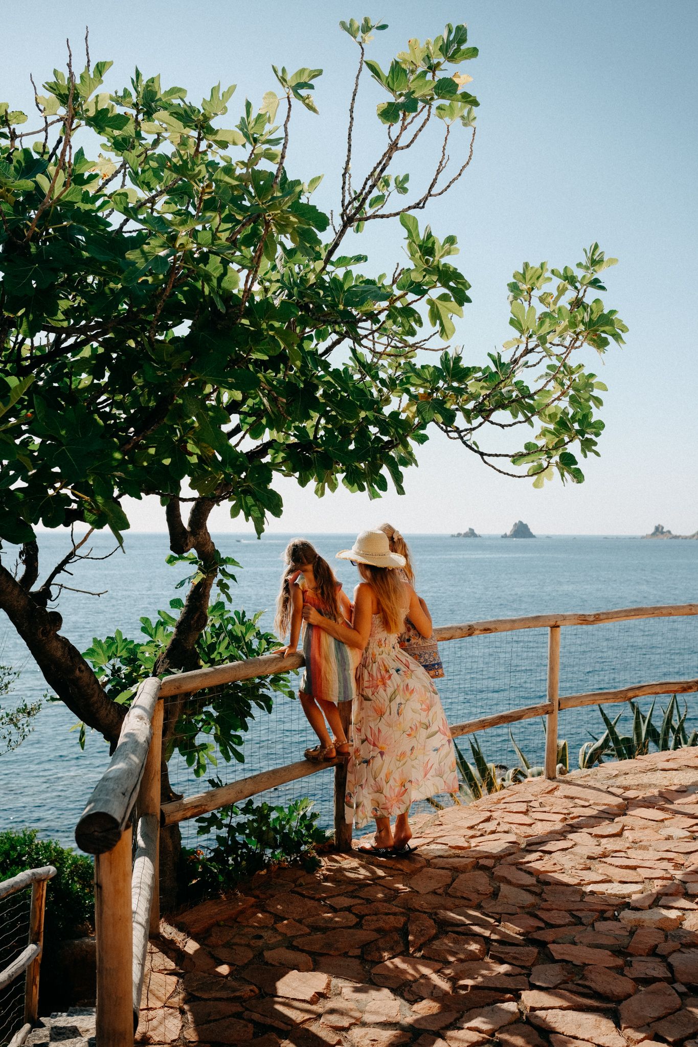 Scenic coastal viewpoint with stone wall overlooking ocean and tropical foliage.