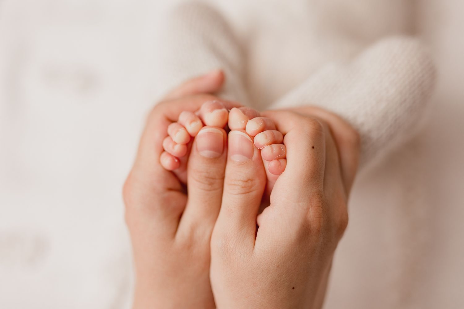 Wellington and Porirua Newborn Photographer
