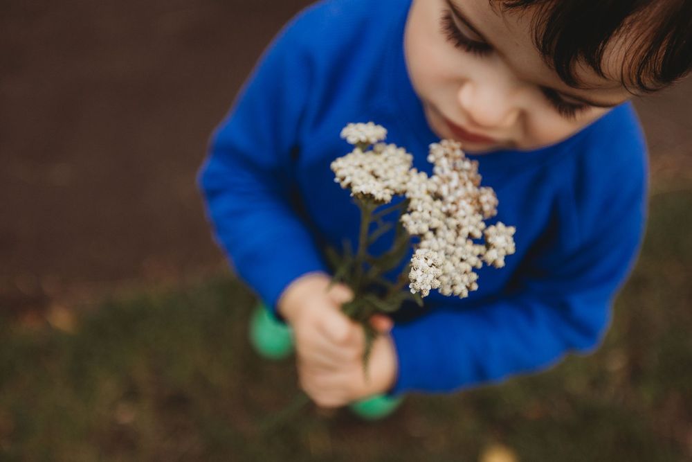 A child in a blue sweater holds delicate white Queen Anne's Lace flowers while exploring outdoors.