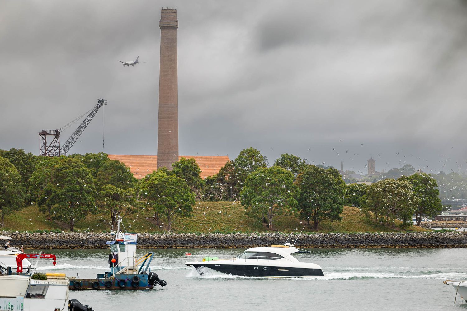 Boats navigate through choppy waters near a coastal industrial area with smokestacks visible in the background with hundreds of sea birds.